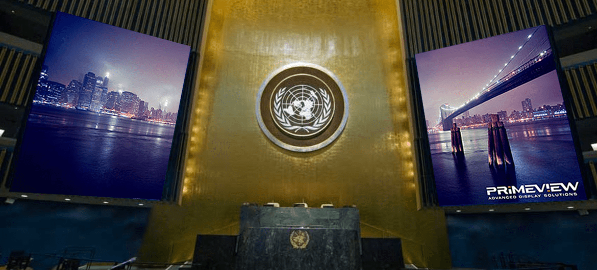 Intergovernmental Organization