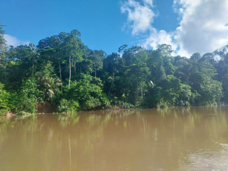 Vista del río Amazonas