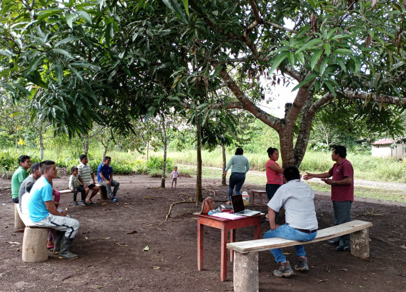 Debate en grupo bajo la copa de un árbol