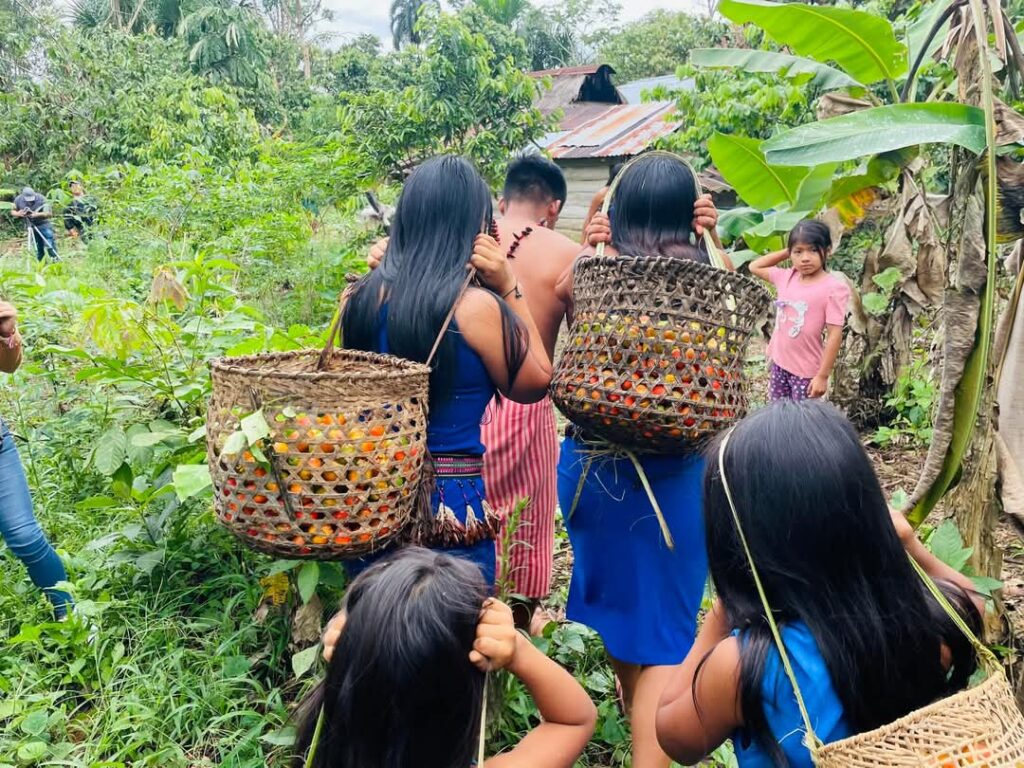 Miembros del pueblo shuar caminando con cestas de comida